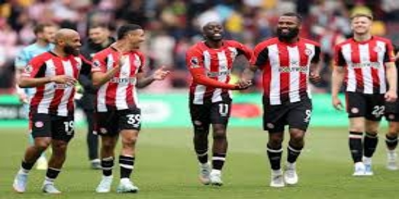 应对措施与未来展望- bb体育