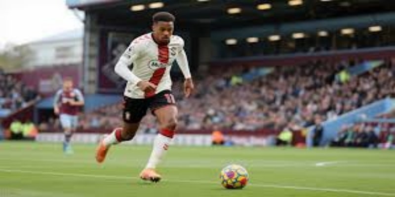 未来展望与核心挑战 -bb体育