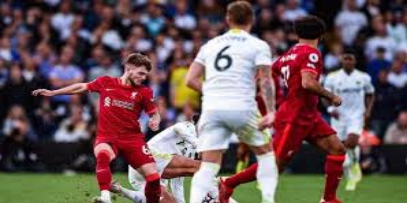 听证会争议焦点：三次追加击打是否合法 — bb体育深度分析-bb体育